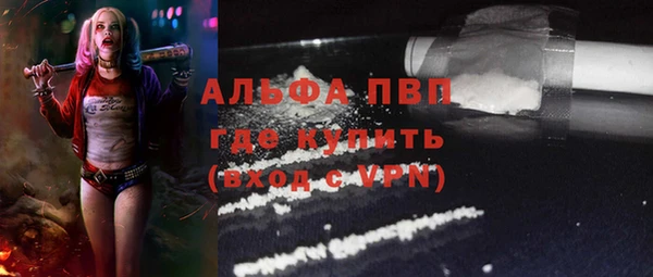 стафф Абаза