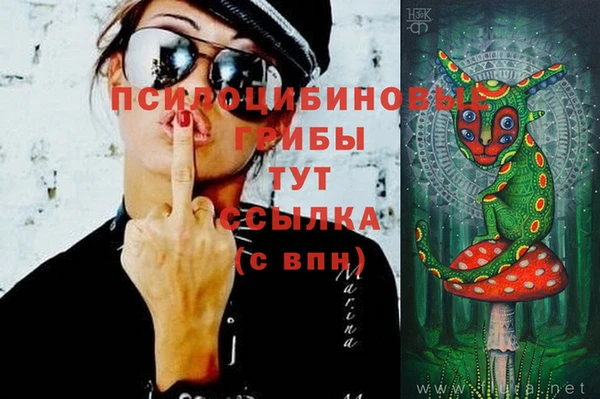 стафф Абаза